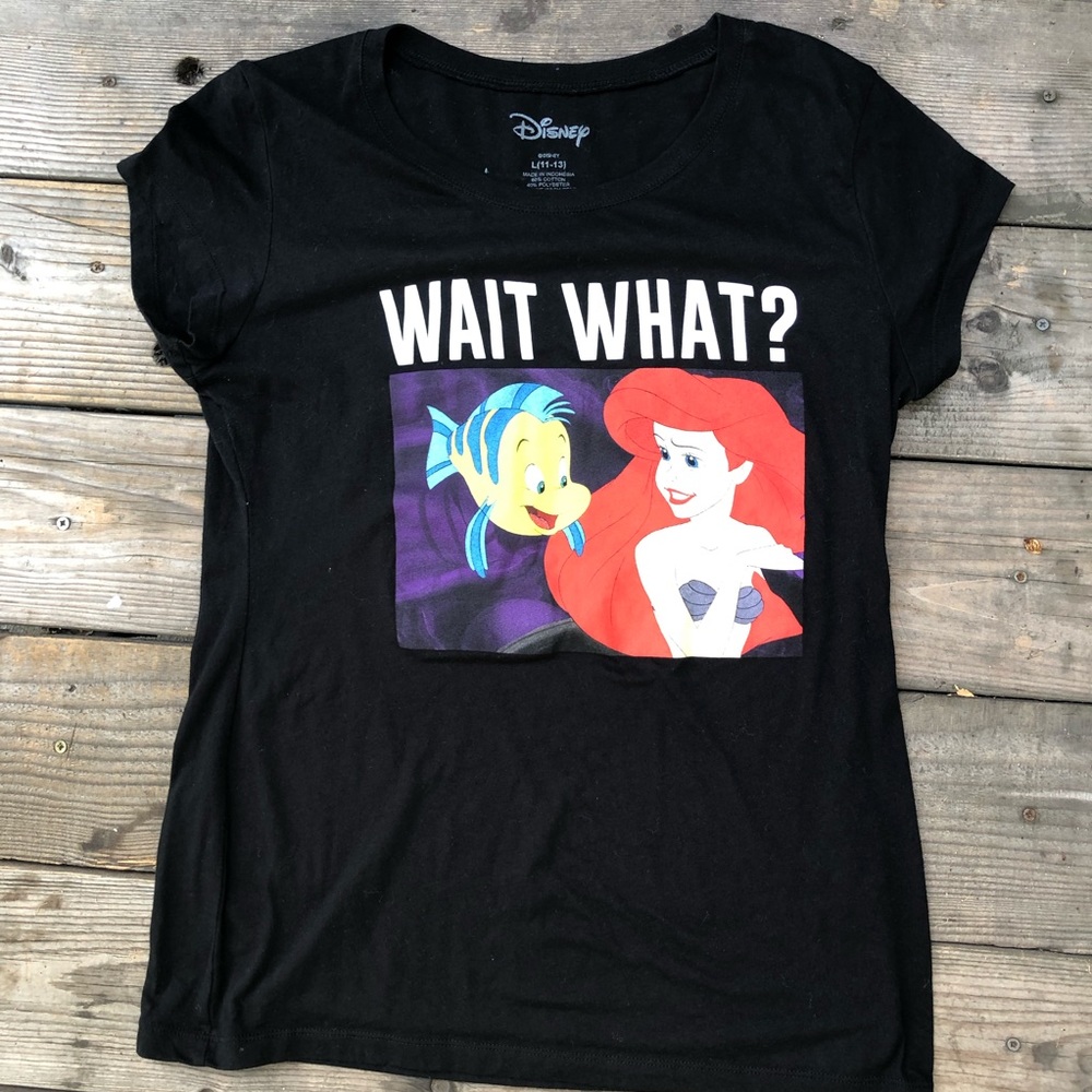 ✈️Disney little mermaid and Flounder T-shirt